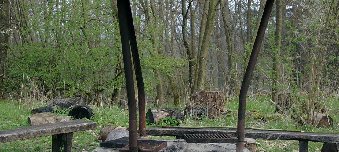 Grill-mit-Dach-und-Funkfang