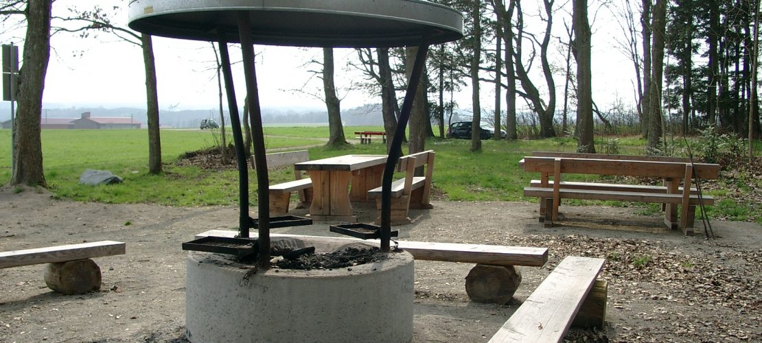 Grillstelle mit Dach und Funkenfang