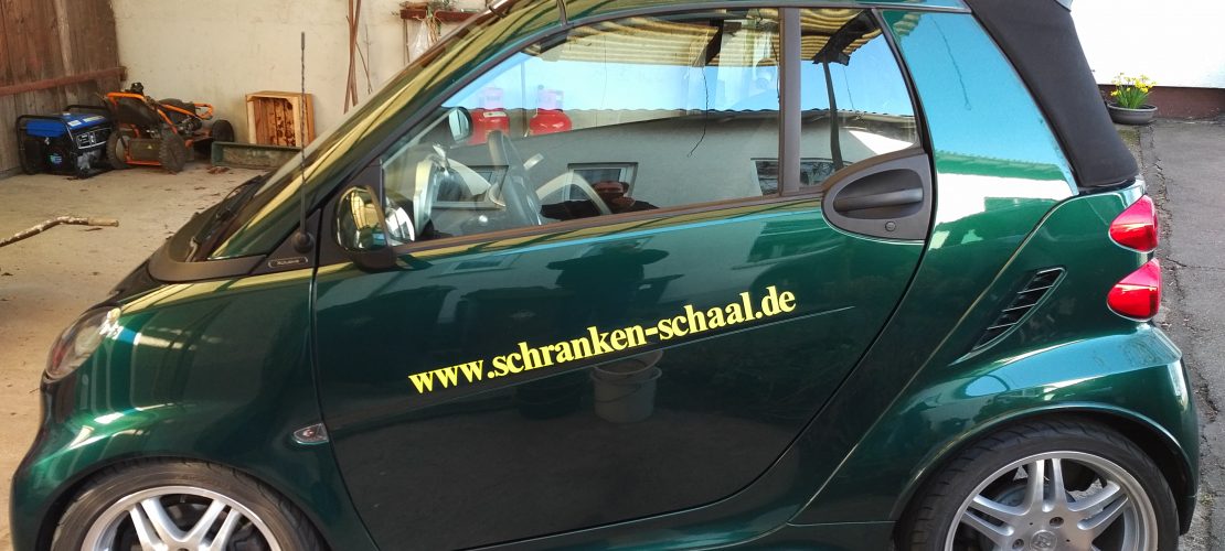 Smart (5)